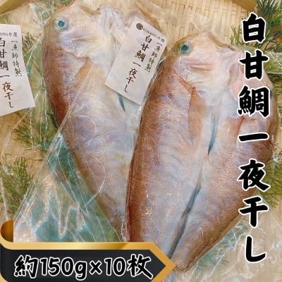 【遠州灘産】白甘鯛の一夜干し　約150g×10枚