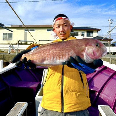【遠州灘産】白甘鯛の一夜干し　約150g×20枚
