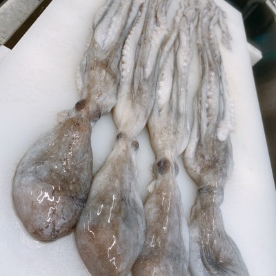 茹でテナガダコ 計約400g