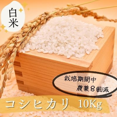 【栽培期間中農薬8割減】コシヒカリ 白米 10kg(5kg×2袋)