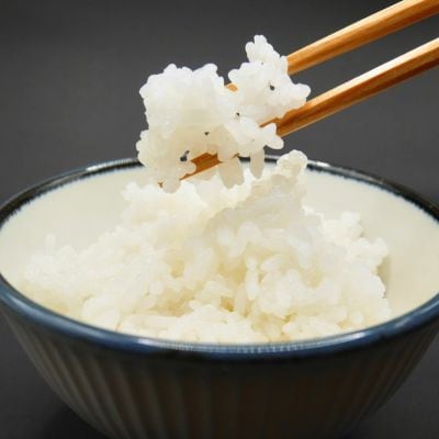 【栽培期間中農薬8割減】コシヒカリ 白米 10kg(5kg×2袋)