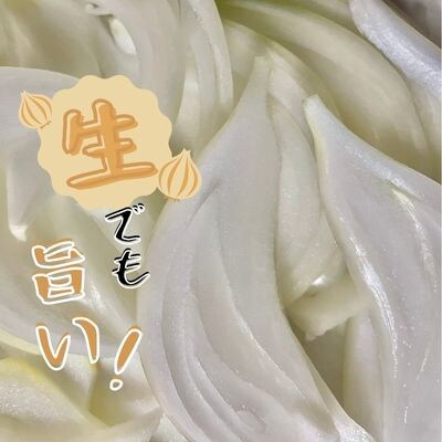 シャキシャキ玉ねぎ 10kg