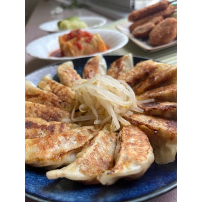 【湖西ポーク使用】冷凍餃子・冷凍串カツ・冷凍ロールキャベツ・冷凍ミニメンチカツ　絶品4点セット