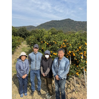 【旨味にこだわり】里見農園のみかん Lサイズ 3kg