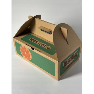 【旨味にこだわり】里見農園のみかん Lサイズ 3kg