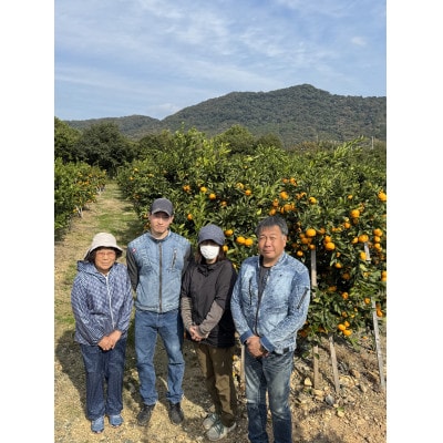 【旨味にこだわり】里見農園のみかん Lサイズ 5kg