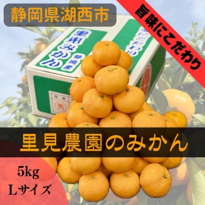 【旨味にこだわり】里見農園のみかん Lサイズ 5kg