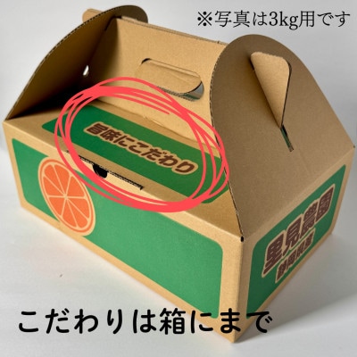 【旨味にこだわり】里見農園のみかん Lサイズ 5kg