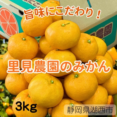 【旨味にこだわり】里見農園のみかん Sサイズ 3kg