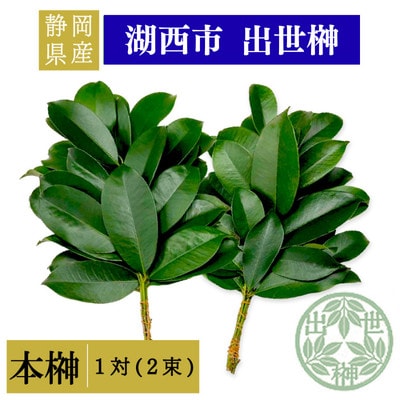 静岡県産湖西市　出世榊　本榊　純国産　さかき1対(2束)※1日交換に間に合うように配送