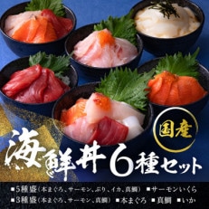 【純国産】海鮮丼の具の贅沢6種類セット(無添加仕様) | ふるさと納税のお礼品