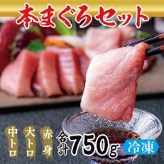 絶品!本マグロ セット 大トロ 250g + 中トロ 250g + 赤身 250g(すべて柵どり)