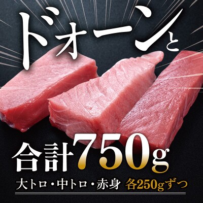 絶品!本マグロ セット 大トロ 250g + 中トロ 250g + 赤身 250g(すべて柵どり)