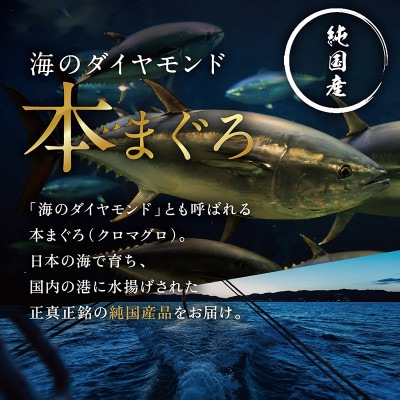 絶品!本マグロ セット 大トロ 250g + 中トロ 250g + 赤身 250g(すべて柵どり)