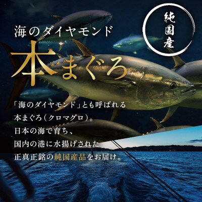 本まぐろ 赤身 750g(柵どり)