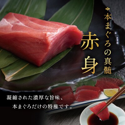 本まぐろ 赤身 750g(柵どり)