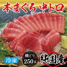 本まぐろ 中トロ 250g(柵どり)