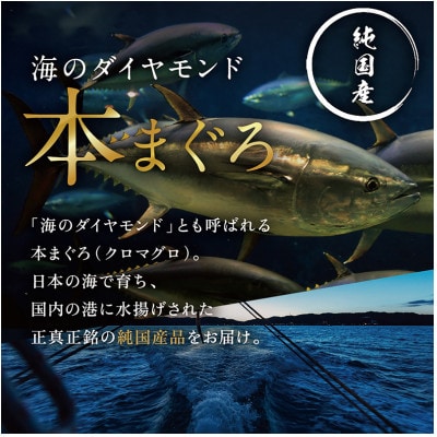本まぐろ 中トロ 250g(柵どり)