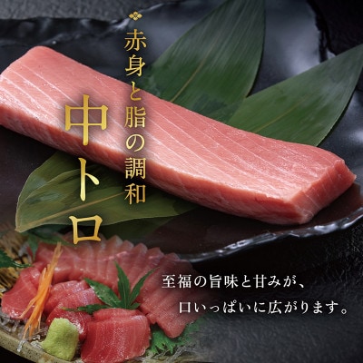 本まぐろ 中トロ 700g(柵どり)