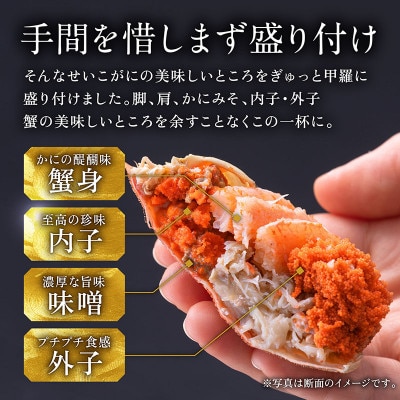 越前がに(メス)せいこがに 甲羅盛り(70g×2個) プロトン凍結
