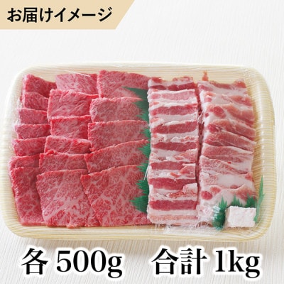 若狭牛+福井白山ポーク焼肉セット(若狭牛上焼肉用A5ランク+福井白山ポーク豚バラ)牛脂付き各500g