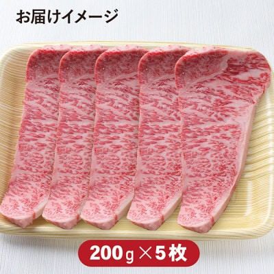 若狭牛サーロインステーキ(A5ランク)200g×5枚