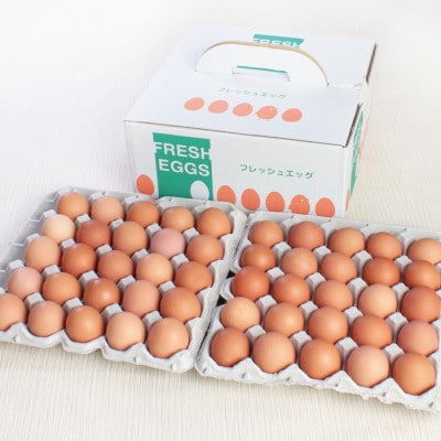 越前産 赤玉子 50個(45個+割れ補償5個入り)