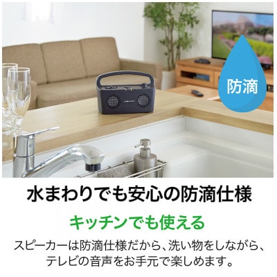 テレビの音声がはっきり聞けるお手元テレビスピーカー(ブラック)AT-SP767XTV BK