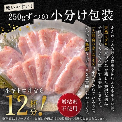 ふわとろネギトロ粗挽き+ネギトロ専用の特選醤油(ミニ)5本セット付き【天然マグロ使用】約1キロ