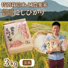 令和5年 福井県産 栽培期間中農薬を減らして栽培したこしひかり 3kg(玄米)