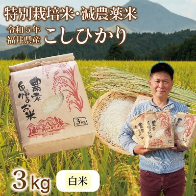令和5年 福井県産 栽培期間中農薬を減らして栽培したこしひかり 3kg(白米)