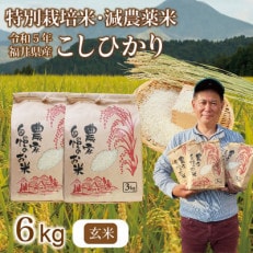 令和5年 福井県産 栽培期間中農薬を減らして栽培したこしひかり 6kg(玄米)