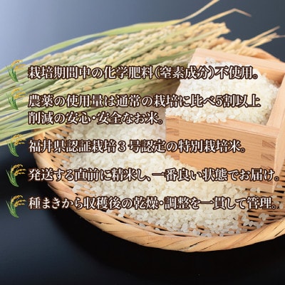 令和5年 福井県産 栽培期間中農薬を減らして栽培したこしひかり 6kg(白米)