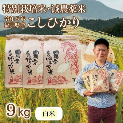令和5年 福井県産 栽培期間中農薬を減らして栽培したこしひかり 9kg(白米)