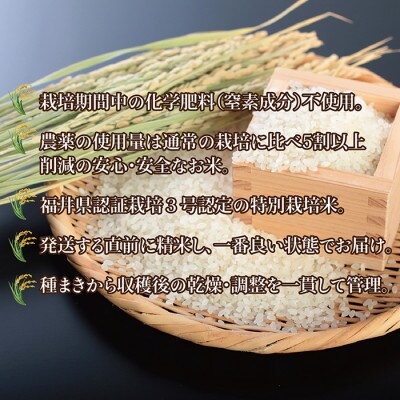 令和5年 福井県産 栽培期間中農薬を減らして栽培したこしひかり 9kg(白米)