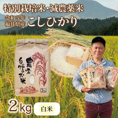 令和5年 福井県産 栽培期間中農薬を減らして栽培したこしひかり 2kg(白米)