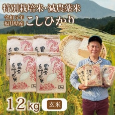 令和5年 福井県産 栽培期間中農薬を減らして栽培したこしひかり 12kg(玄米)