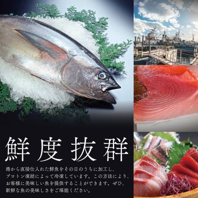 越前海鮮太巻き1パック(4貫入り×4 合計16貫)
