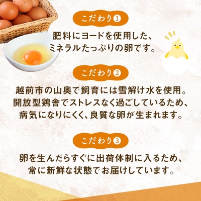 越前赤玉子50個(45個+卵割れ補償5個)