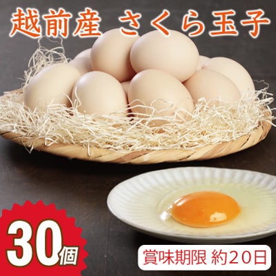 越前産 さくら玉子 30個(27個+割れ補償3個入り)