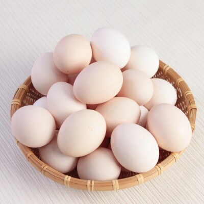 越前産 さくら玉子 30個(27個+割れ補償3個入り)