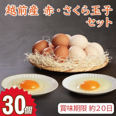 越前産 赤玉子とさくら玉子セット　30個(27個+割れ補償3個入り)
