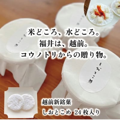 【米のお煎餅】越前新銘菓　しおとこめ　24枚入り