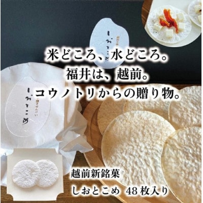【米のお煎餅】越前新銘菓　しおとこめ　48枚入り