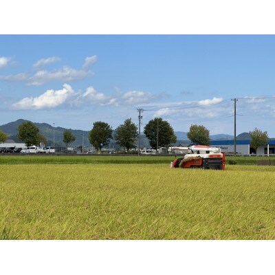 【先行受付】令和8年産 特別栽培 コシヒカリ　玄米　5kg
