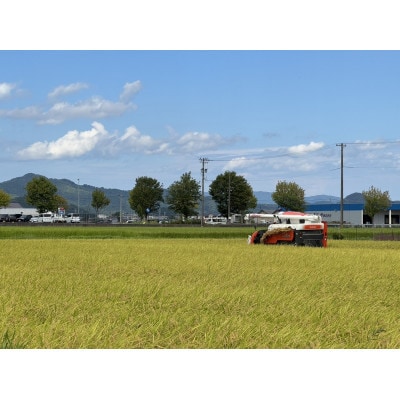 【先行受付】令和8年産 特別栽培 コシヒカリ　5kg