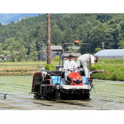 【先行受付】令和8年産 特別栽培 コシヒカリ　10kg