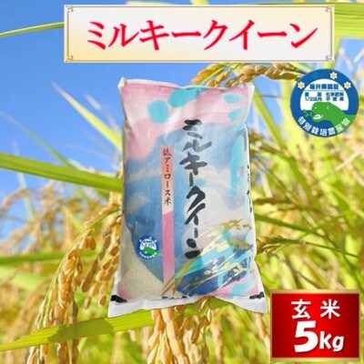 【先行受付】令和8年産 特別栽培 越前市産 ミルキークイーン  玄米　5kg
