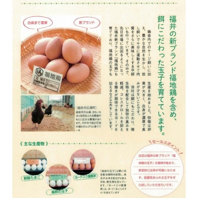 【毎月定期便】越前赤玉子30個(27個+卵割れ補償3個)全3回
