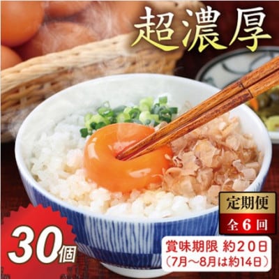 【毎月定期便】越前赤玉子30個(27個+卵割れ補償3個)全6回